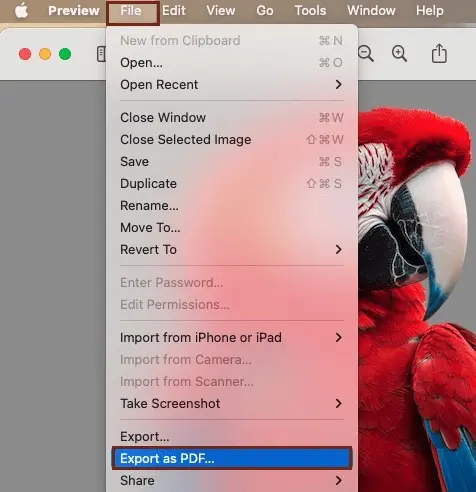 Clicking the file and then Export as PDF in macOS for converting png to pdf