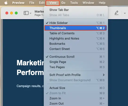 Open the PDF in Preview and go to Thumbnails from view tab
