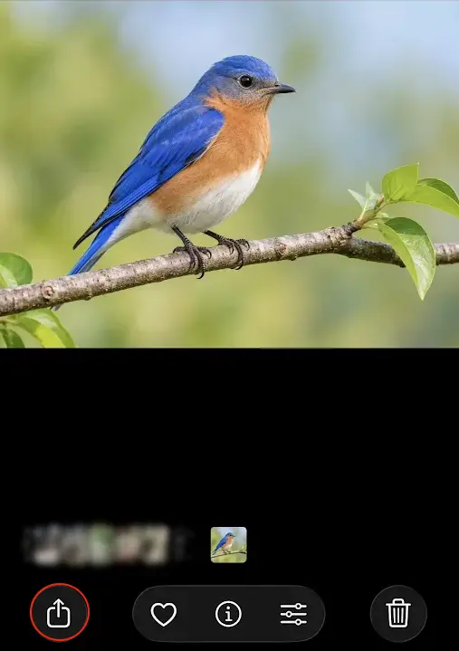 Open the image in Photos and tap the Share button on iPhone
