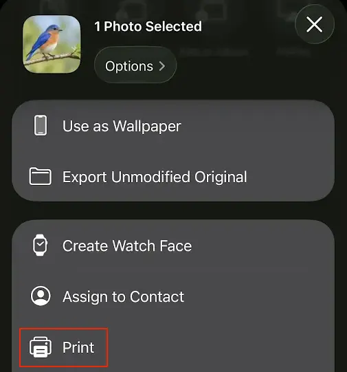 Scroll through the iPhone Share menu and select Print