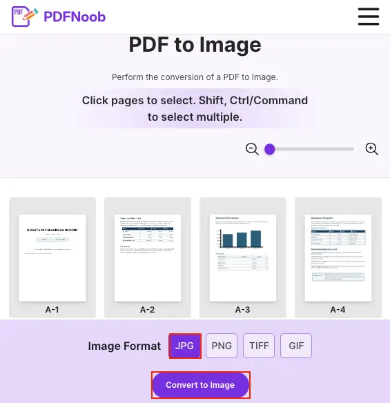 Select PDF pages, choose JPG as the image format, and click Convert to Image