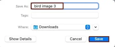 Name the file and click save to convert png files to pdf in macOS
