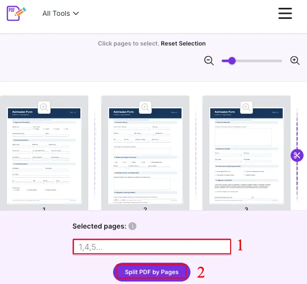 Define pages in the Selected pages box and click Split PDF by Pages