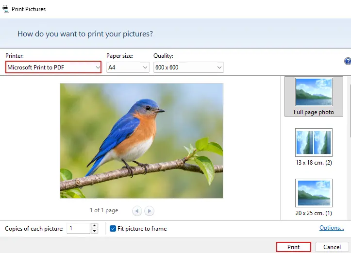 Choose Microsoft Print to PDF as the printer and click Print