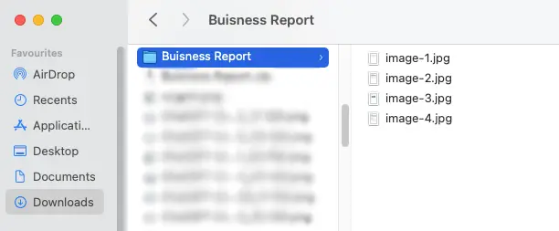 View the JPG images exported from a zip of a multi-page PDF on Mac