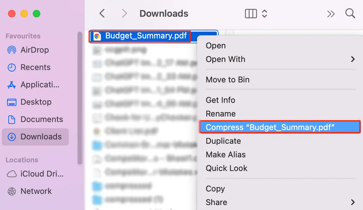 Select the PDF, right-click, and choose Compress to ZIP the PDF file on Mac