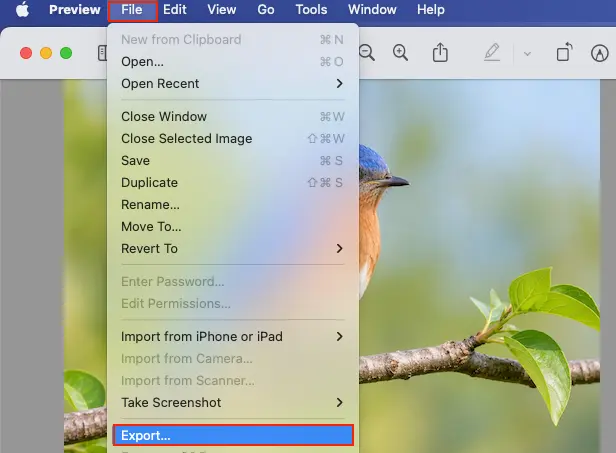 Open the File menu in Mac Preview and select Export