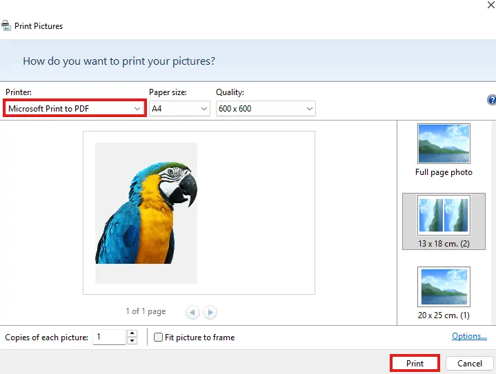 Choose Microsoft Print to PDF and click Print