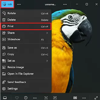 Open the png file in a pdf reader and go to Edit and Print